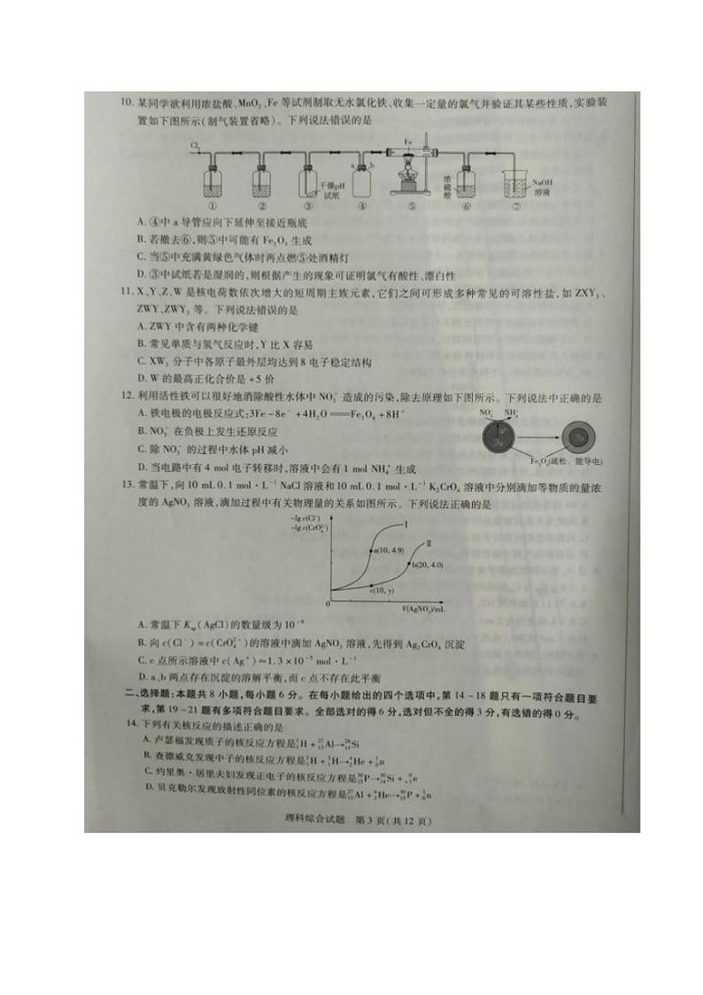 河南省濮阳市2020届高三毕业班第一次模拟考试理科综合试题含答案第3页