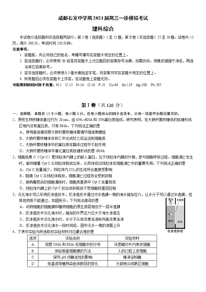成都石室中学高2021届高三一诊模拟考试理综试题第1页