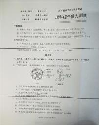 2019届东北师大附中、重庆一中、吉大附中、长春十一中等高三联合模拟考试理科综合试题 PDF版