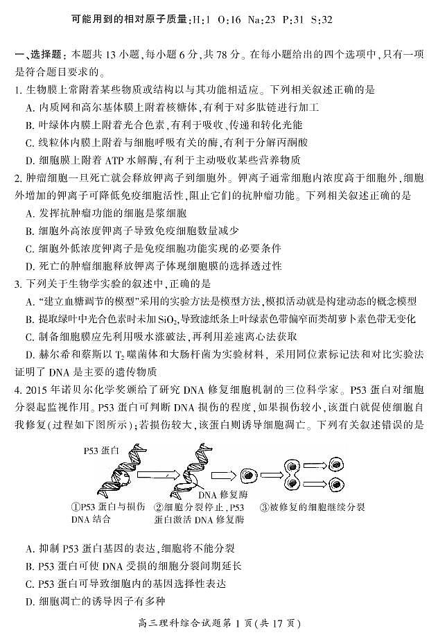 湖南省郴州市2020届高三第二次教学质量监测理科综合试题（含答案）第2页