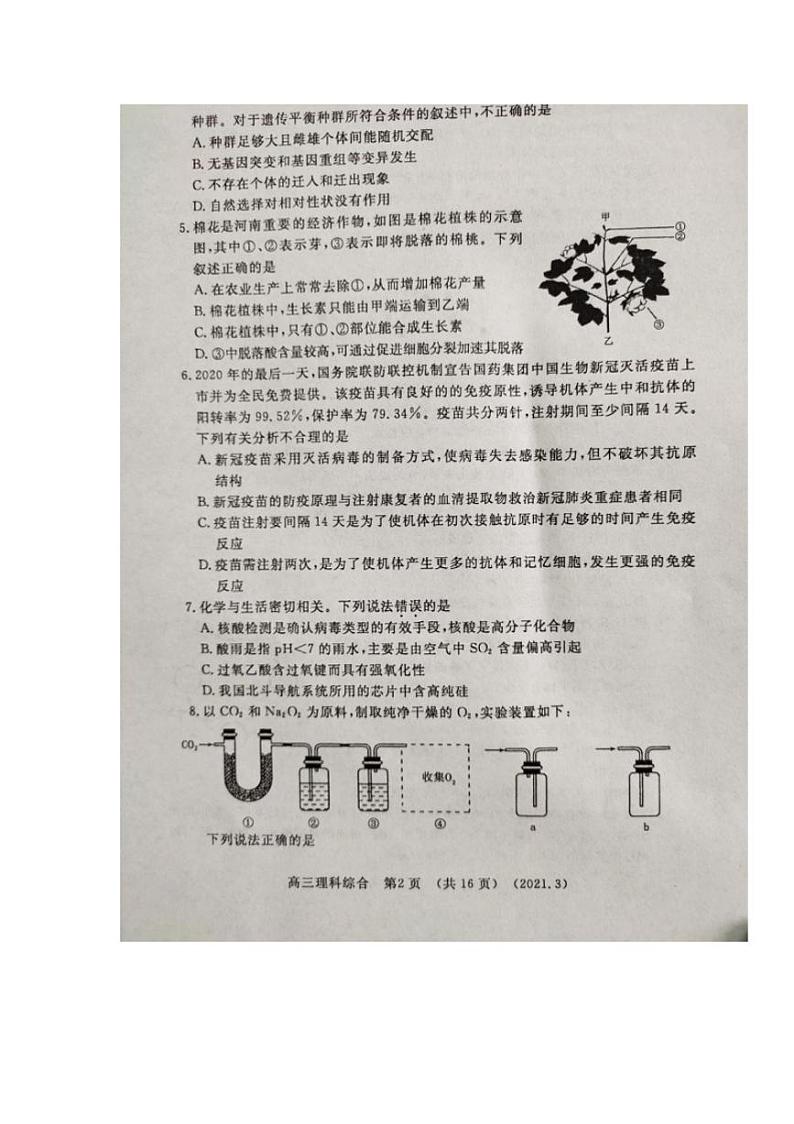河南省洛阳市2021届高三下学期第二次统一考试理综试题含答案第2页