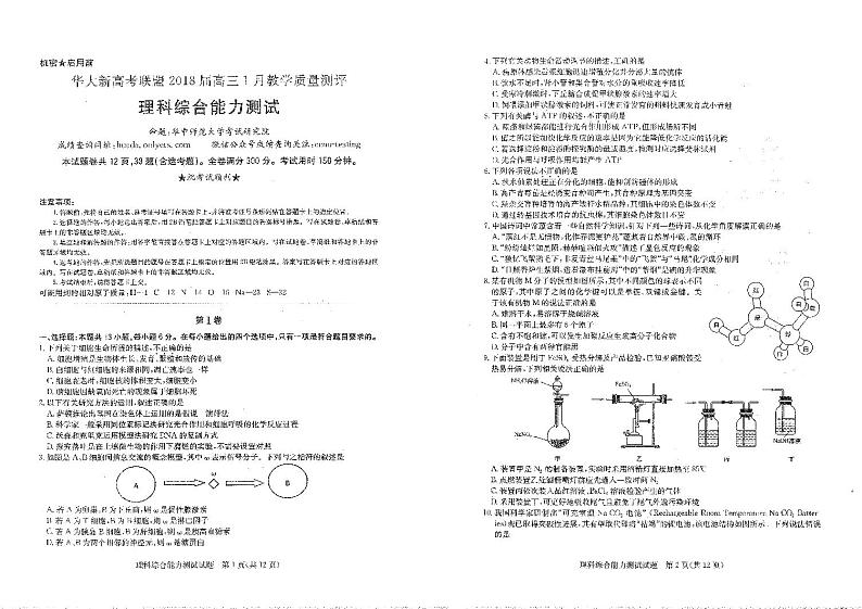 湖北省华大新高考联盟2018届高三1月教学质量测评理科综合试题（PDF版）第1页