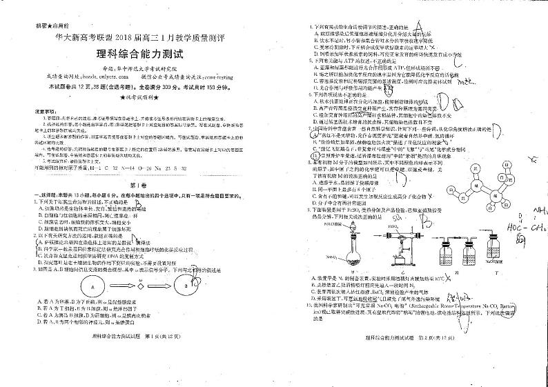 2019届湖北省华大新高考联盟高三上学期1月教学质量测评 理综 PDF版第1页