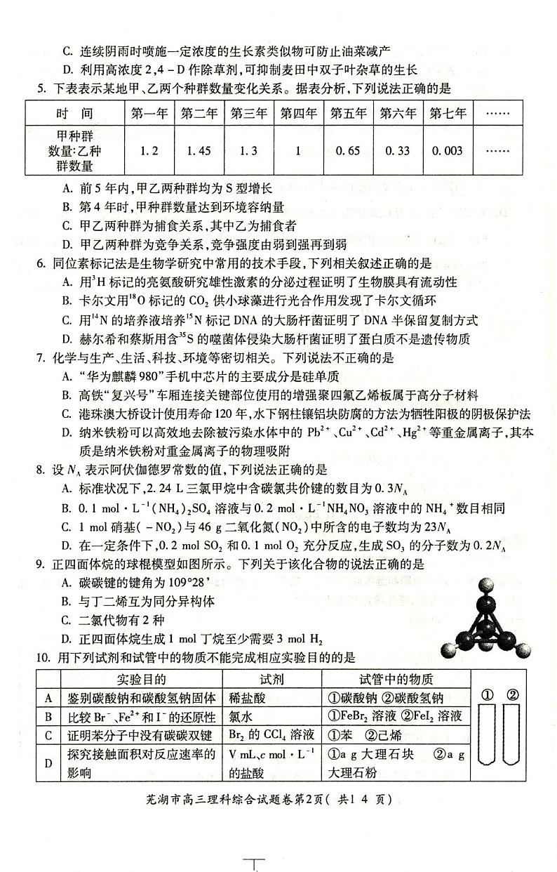 安徽省芜湖市2019-2020学年高三年级第一学期期末考试理科综合试题（扫描版无答案）第2页