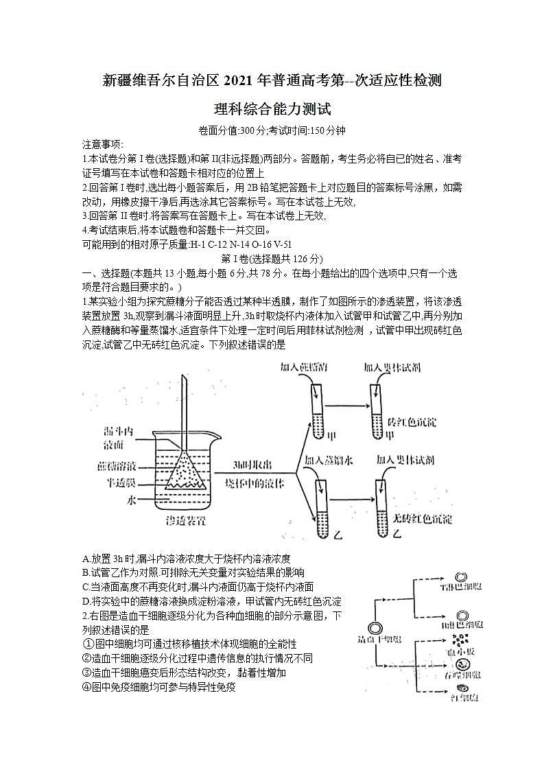新疆维吾尔自治区2021年普通高考第一次适应性检测理科综合试题Word版含答案第1页