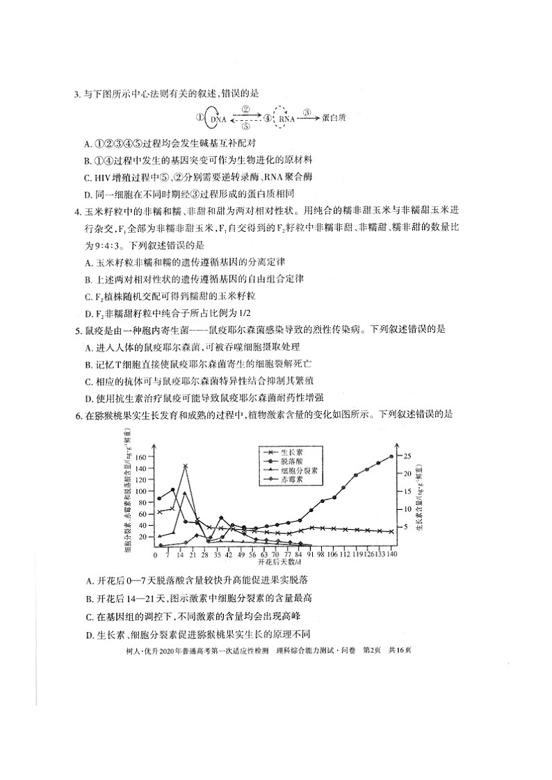 新疆维吾尔自治区2020年普通高考第一次适应性检测理科综合试题 图片版 含答案第2页