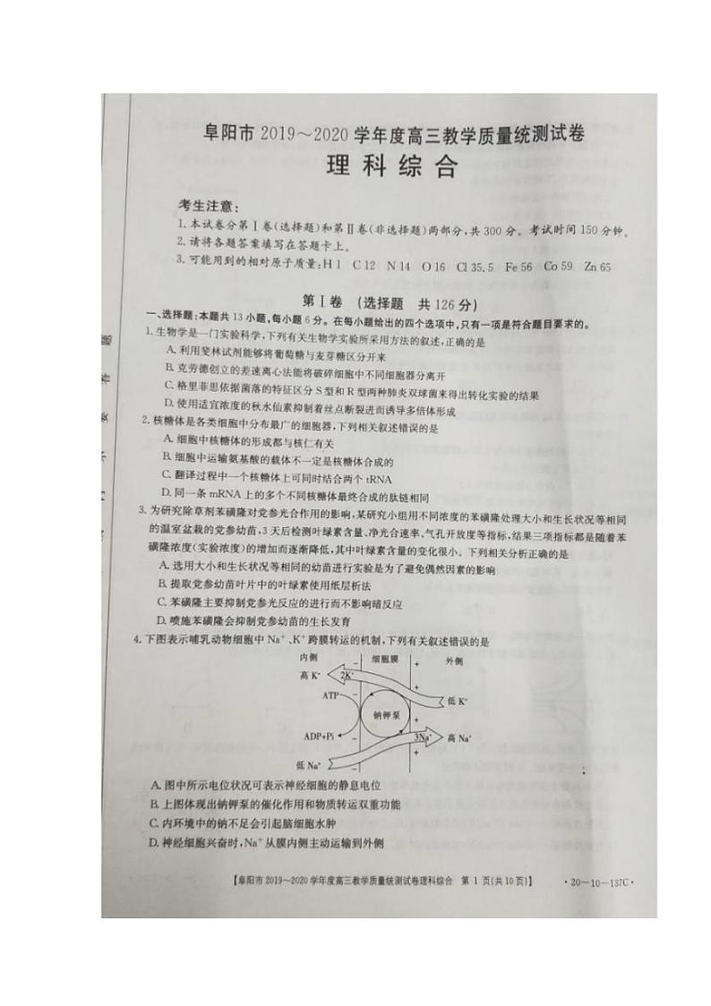 安徽省阜阳市2020届高三上学期期末教学质量统测（一模）理科综合试题含答案01