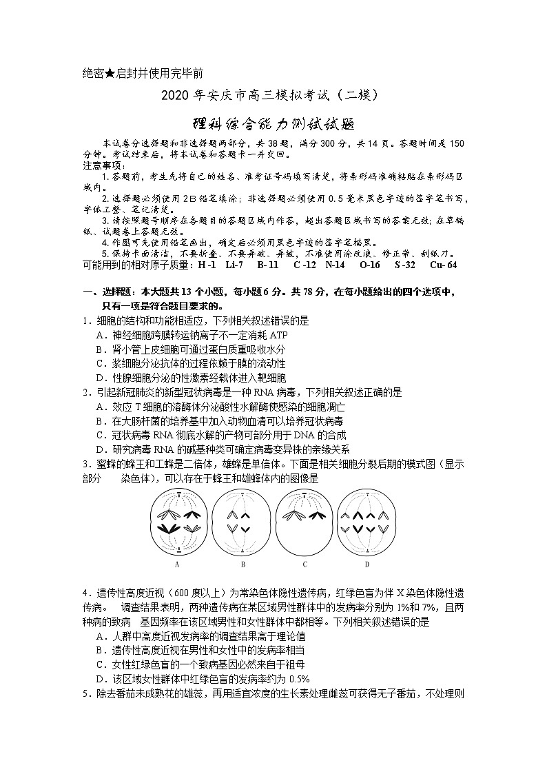 安徽省安庆市2020届高三第二次模拟考试理科综合试题含答案第1页