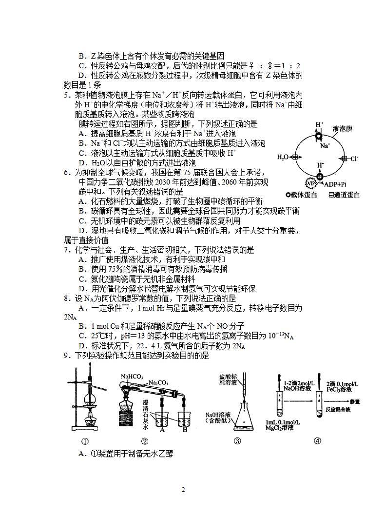 河南省济源平顶山许昌2021—2022学年高三第一次质量检测理科综合试题含答案第2页