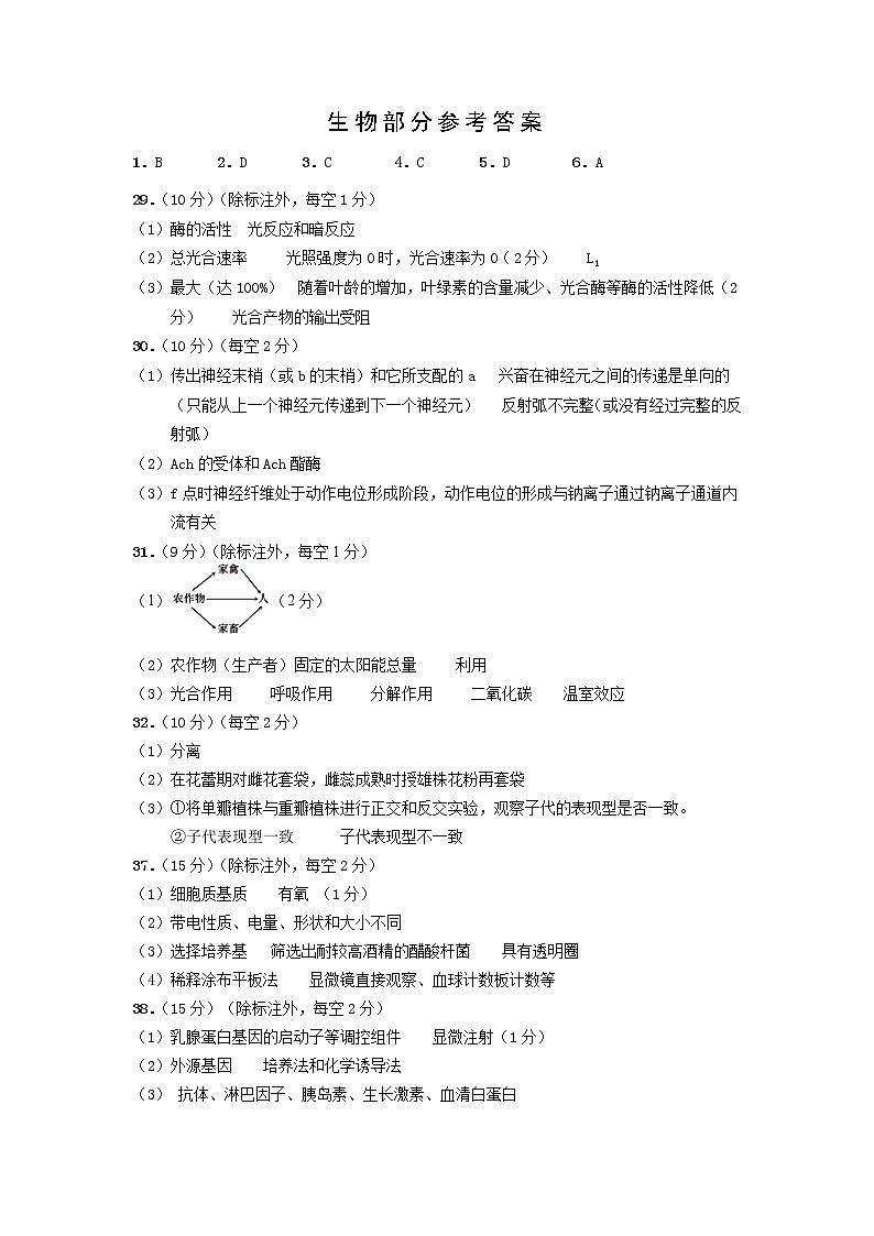 云南省保山市2021-2022学年高三第一次教学质量监测理科综合试题01