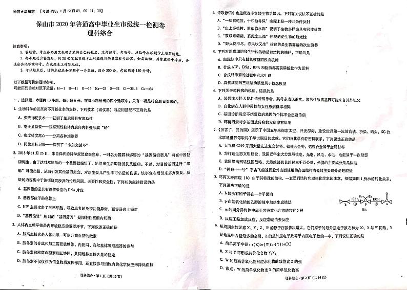 云南省保山市2020年高三普通高中毕业生市级统一检测卷-理科综合（PDF版有答案）01
