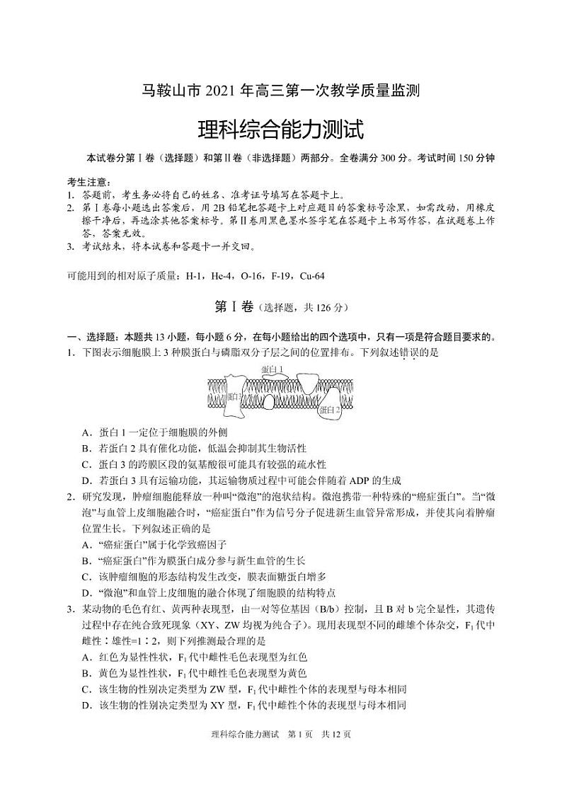 2021届安徽省马鞍山市高三下学期一模考试理科综合试题 PDF版第1页