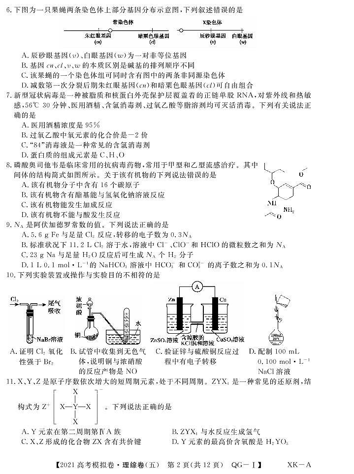 2021届安徽省名校联盟高三上学期模拟调研卷（五）理综试题 PDF版02