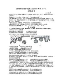 2022年贵州省贵阳市2022届高三适应性考试一（一模）理科综合试题含答案