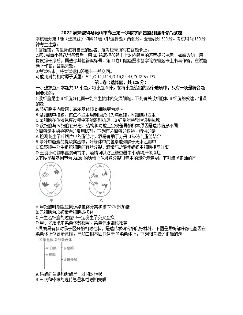 2022届安徽省马鞍山市高三第一次教学质量监测理科综合试题01