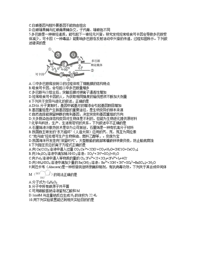 2022届安徽省马鞍山市高三第一次教学质量监测理科综合试题02