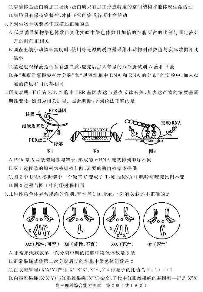 河南省六市（漯河）2020届高三第一次模拟调研试题（4月）理科综合试卷含答案02