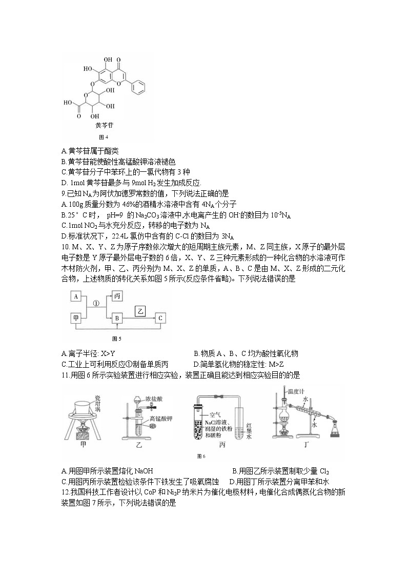 2022届云南省师范大学附属中学高三高考适应性月考卷（八）理科综合试题03