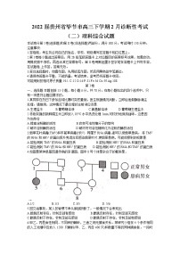 2022届贵州省毕节市高三下学期2月诊断性考试（二）理科综合试题