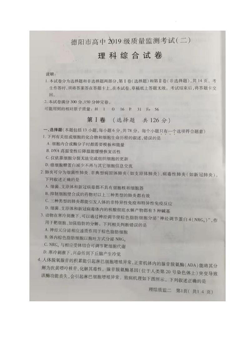 四川省德阳市2022届高三第二次质量监测考试理科综合试题无答案01
