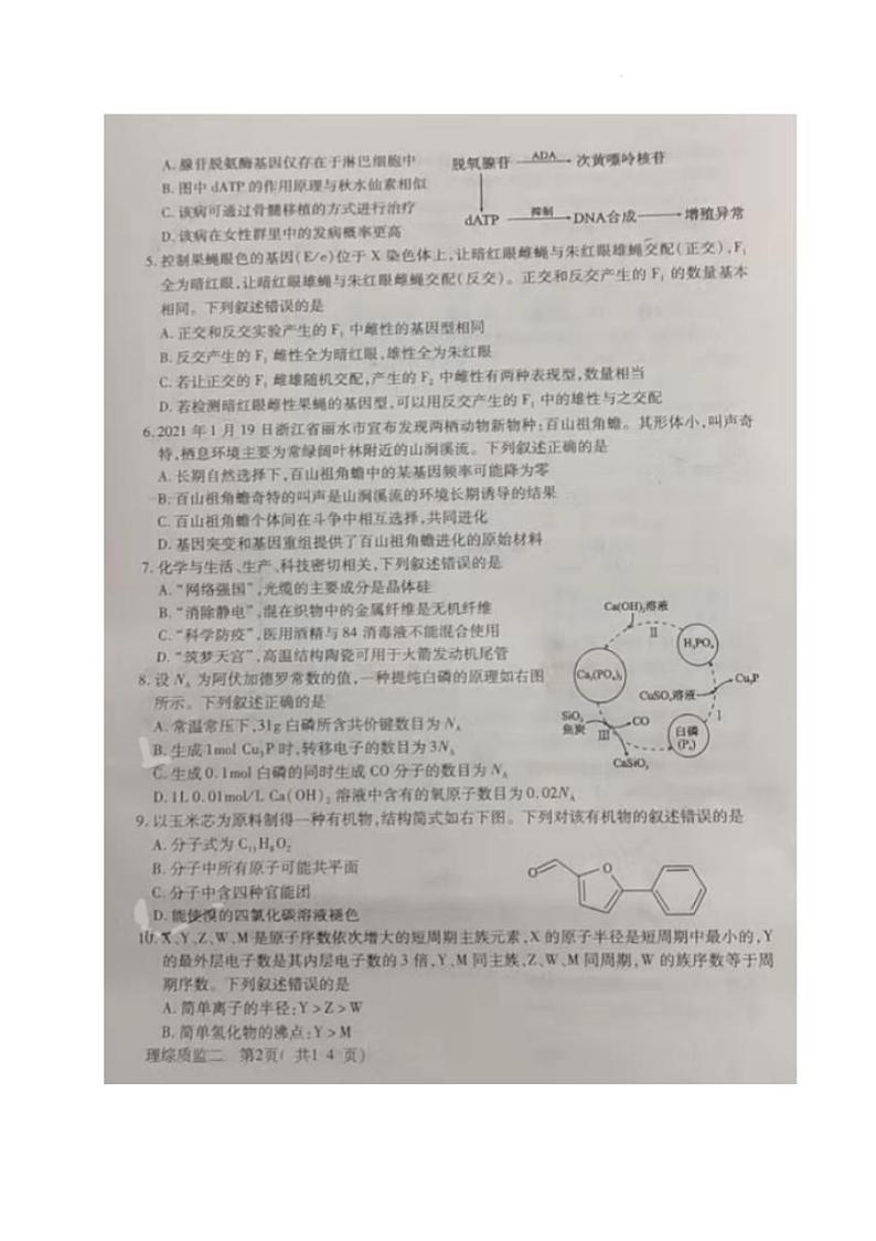四川省德阳市2022届高三第二次质量监测考试理科综合试题无答案02
