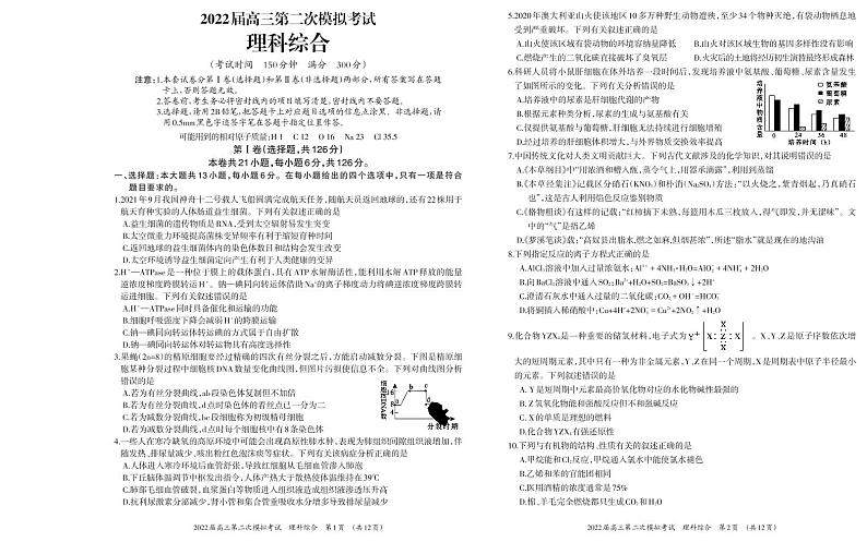 广西柳州市2022届高三上学期第二次模拟考试理综试题PDF版含答案01