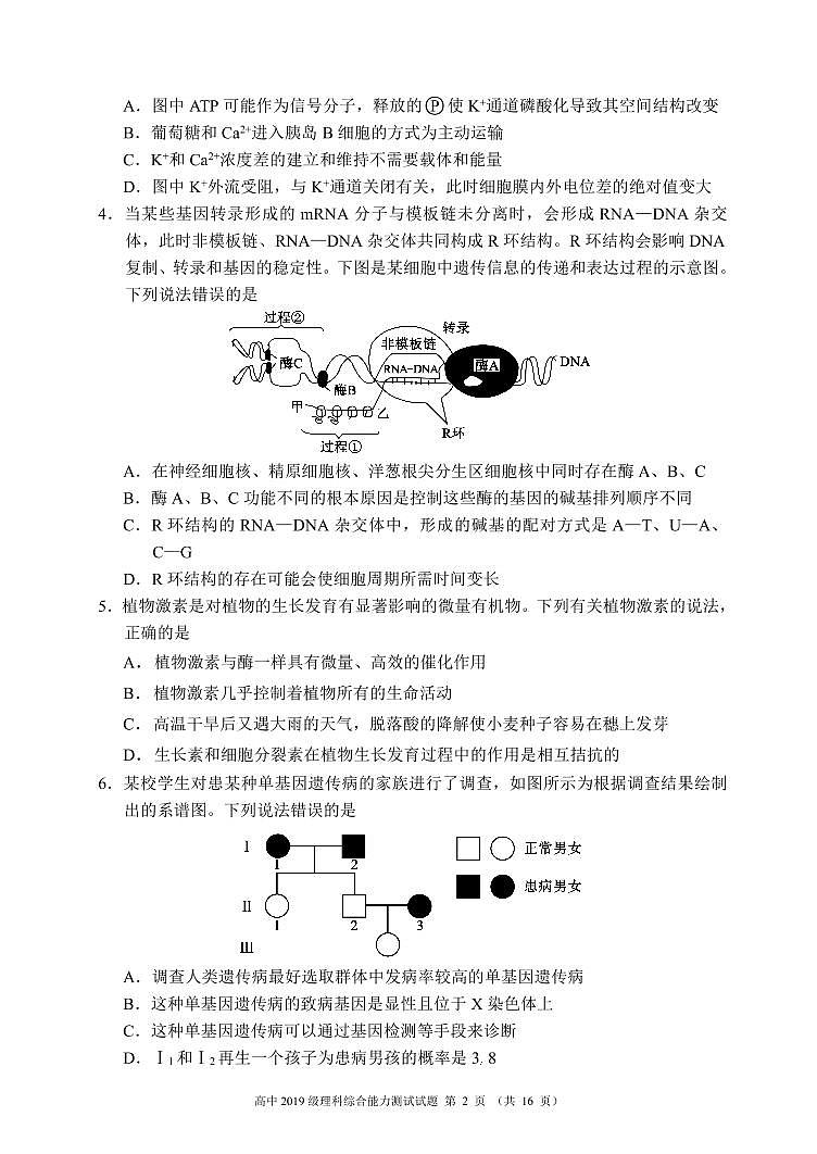 四川省成都市蓉城名校联盟2021-2022学年高三下学期第二次联考试题理综PDF版含解析第2页