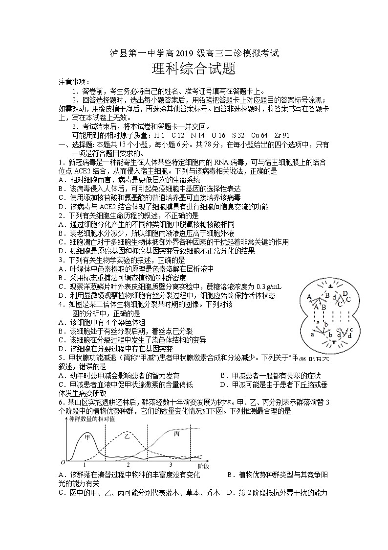 四川省泸州市泸县第一中学2022届高三二诊模拟考试理综试题含答案01