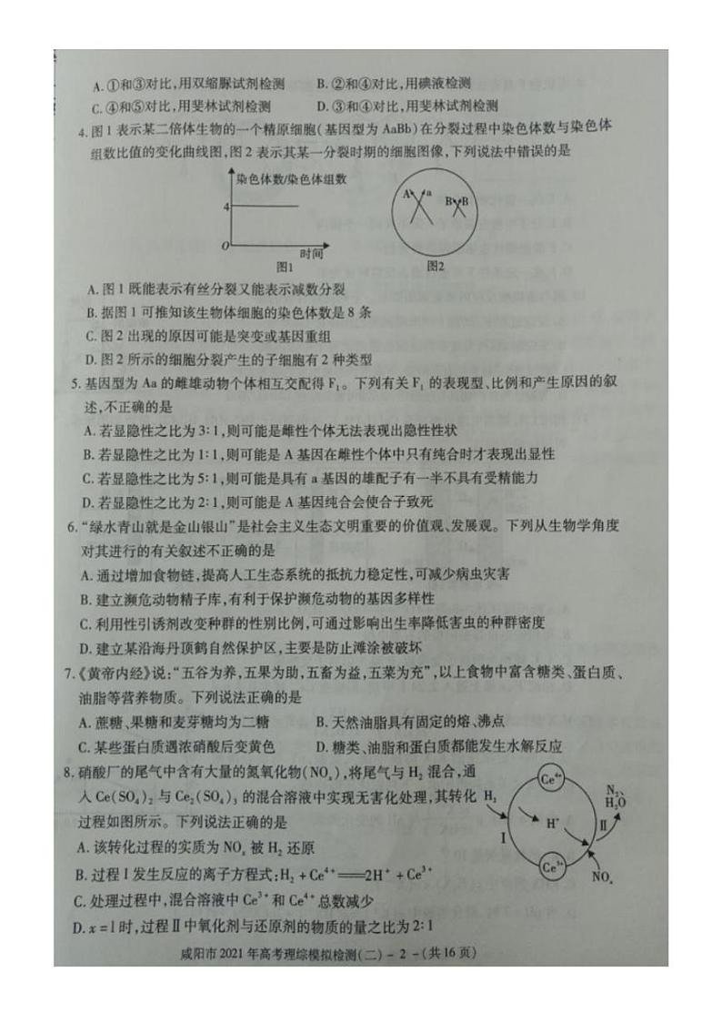 陕西省咸阳市2021届高三高考模拟检测检测二（二模）理科综合试题含答案02