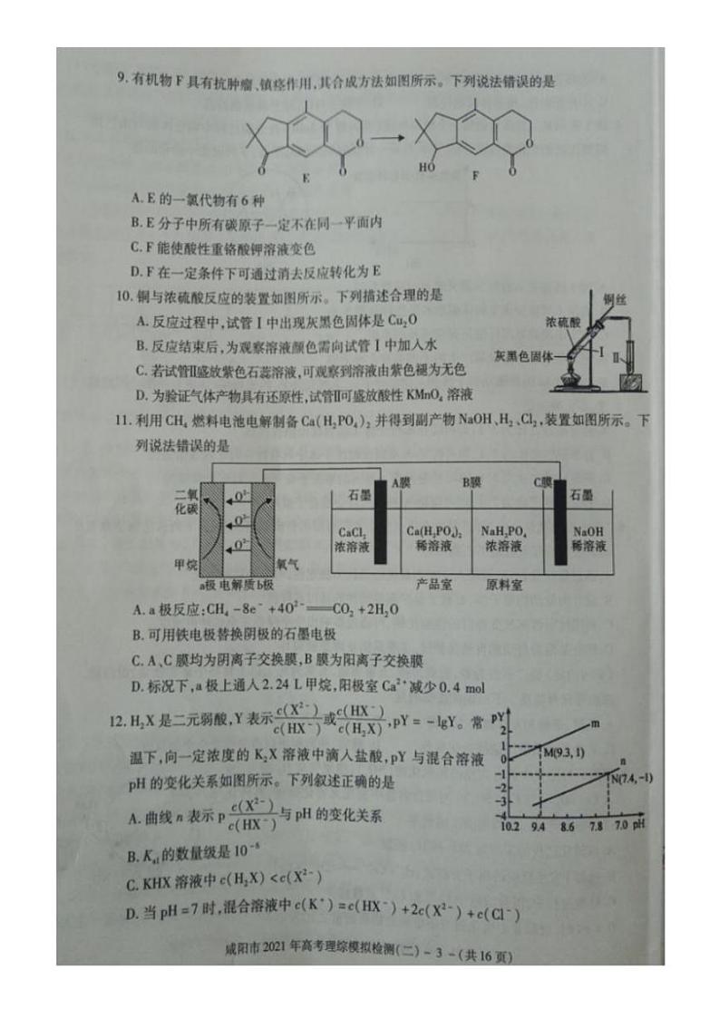 陕西省咸阳市2021届高三高考模拟检测检测二（二模）理科综合试题含答案03
