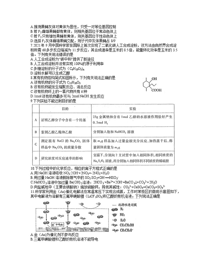 2022届江西省南昌市高三下学期3月第一次模拟考试（一模）理科综合试题含答案第2页