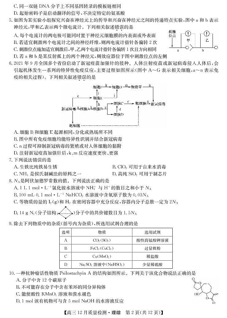 2022届河南省高三九师联盟12月质量检测理综试题 PDF版02