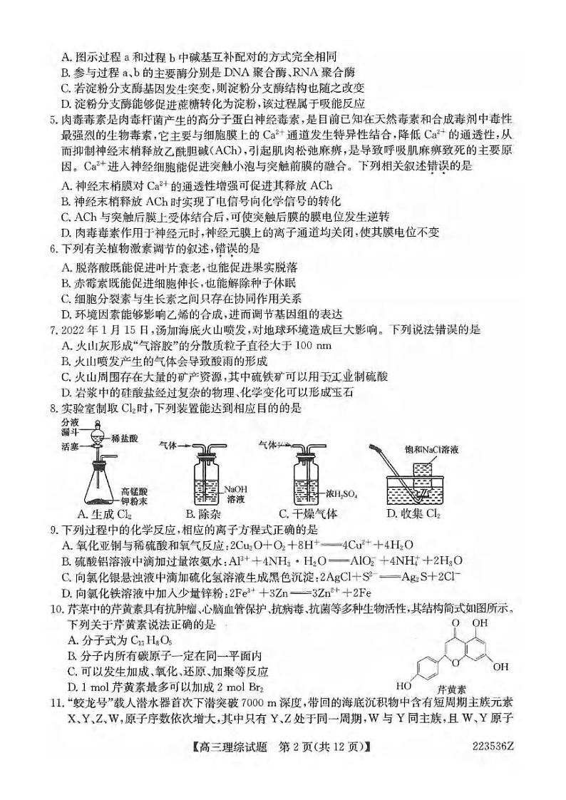 黑龙江省齐齐哈尔市2022届高三第一次模拟考试（一模）理科综合试题含答案第2页