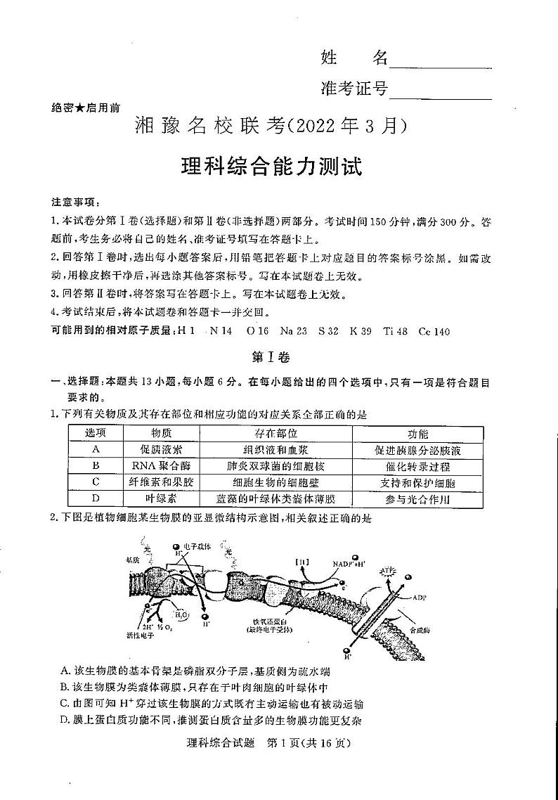 2022届河南省实验中学等湘豫名校联考高三下学期3月联考 理科综合试题（PDF版）01