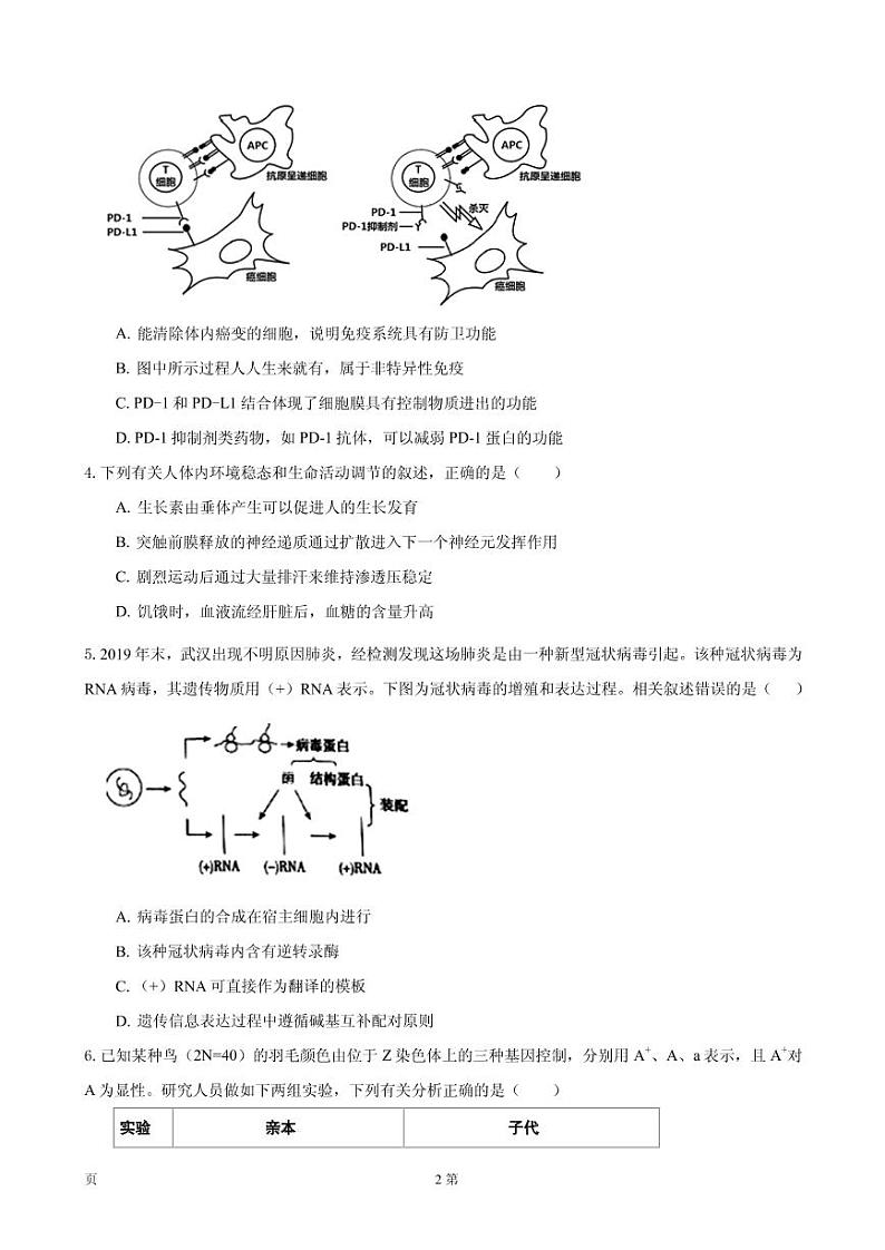 2020届黑龙江省大庆实验中学高三下学期开学考试理综试题 PDF版第2页