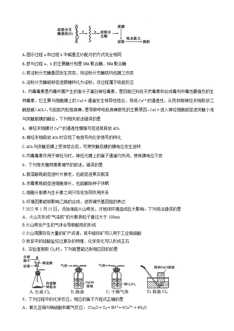 2022届黑龙江省齐齐哈尔市高三下学期第一次模拟考试 理综练习题02
