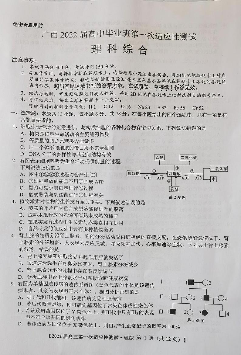 广西2022届高中毕业班第一次适应性测试理科综合试题含答案第1页