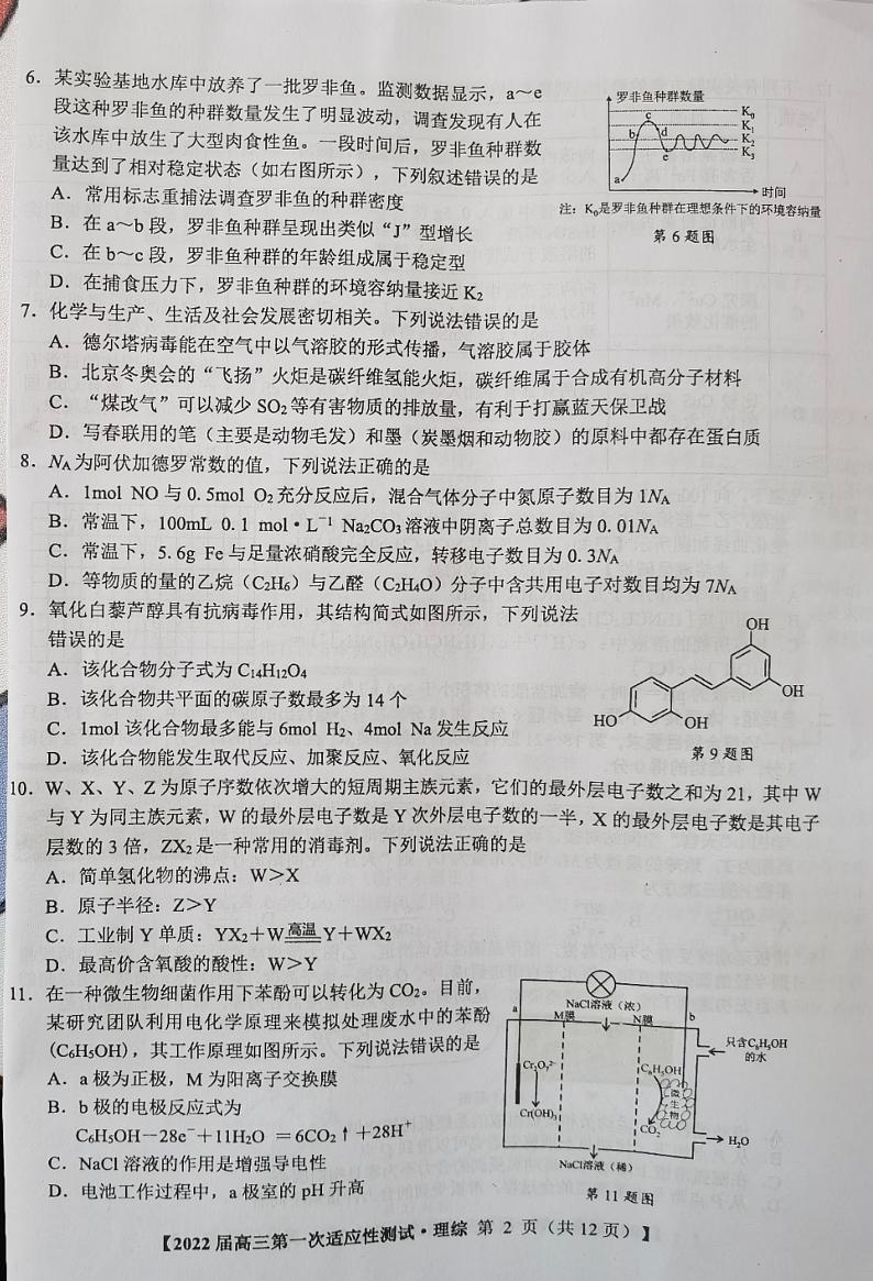 广西2022届高中毕业班第一次适应性测试理科综合试题含答案第2页
