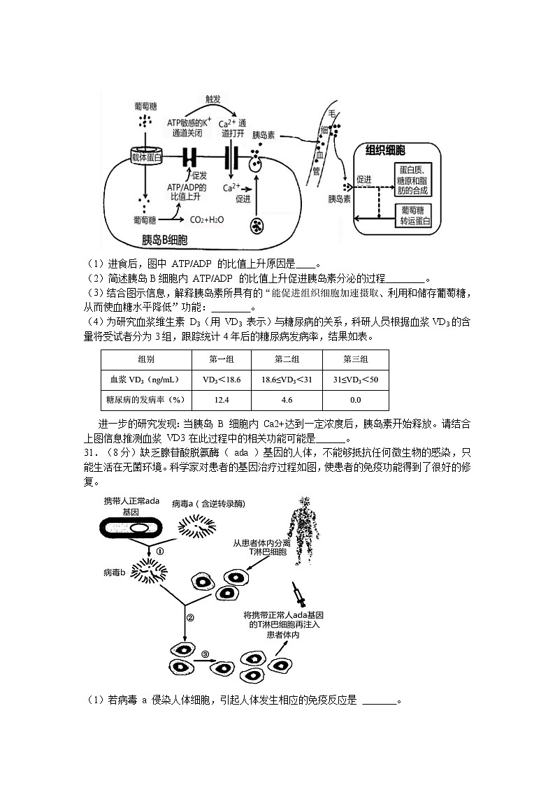 生物（含答案）第3页