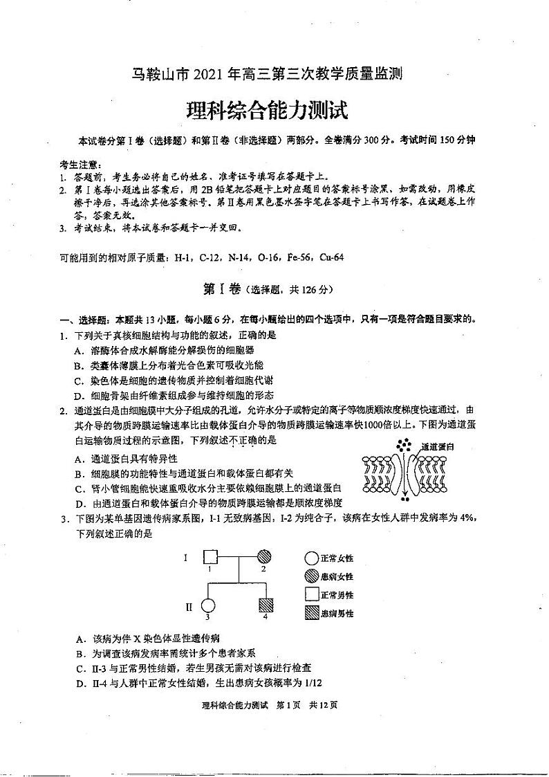 2021年马鞍山市高中毕业班第三次教学质量监测理科综合试卷及答案第1页