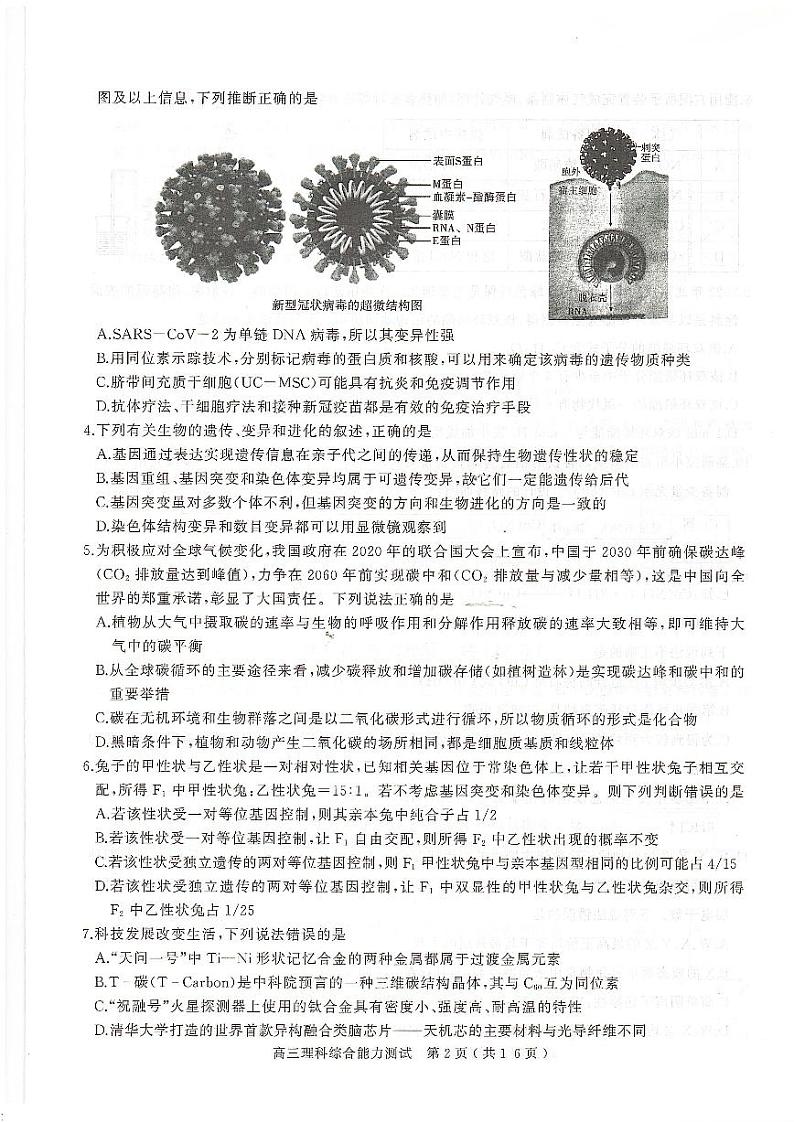 2022届河南省六市（五市）南阳高三第一次联合调研检测（一模）理科综合试题含答案第2页