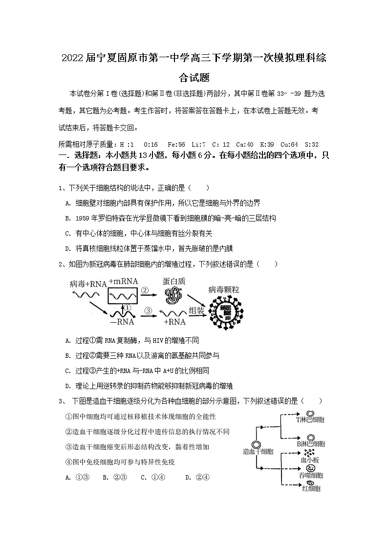 2022届宁夏固原市第一中学高三下学期第一次模拟理科综合试题第1页