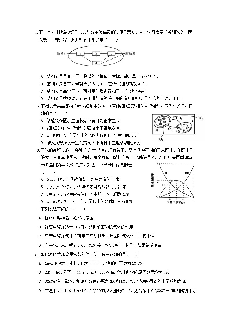 2022届宁夏固原市第一中学高三下学期第一次模拟理科综合试题第2页