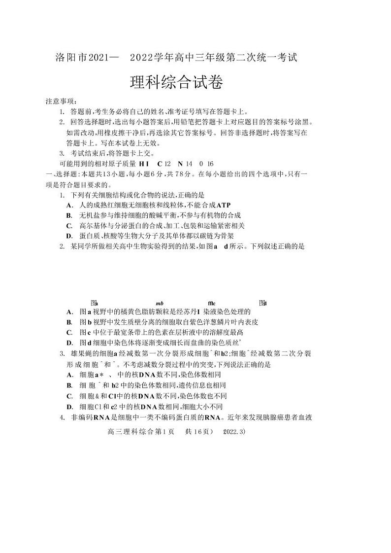 河南省洛阳市2021-2022学年高三第二次统一考试（二模）理科综合试题含答案第1页