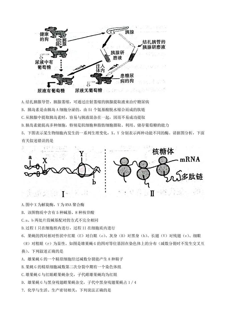 2022咸阳高三模拟检测（二）理综PDF版含答案02