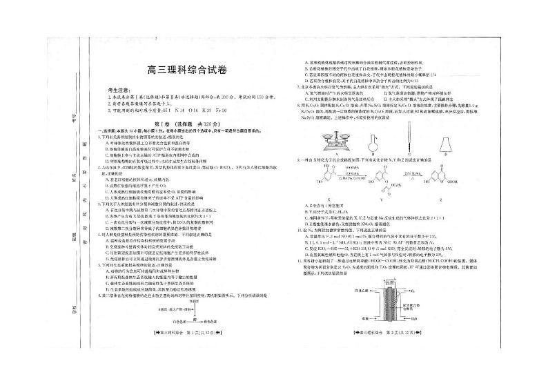 2022届甘肃省平凉市高三3月第二次模拟考试（二模）理科综合试题含答案01