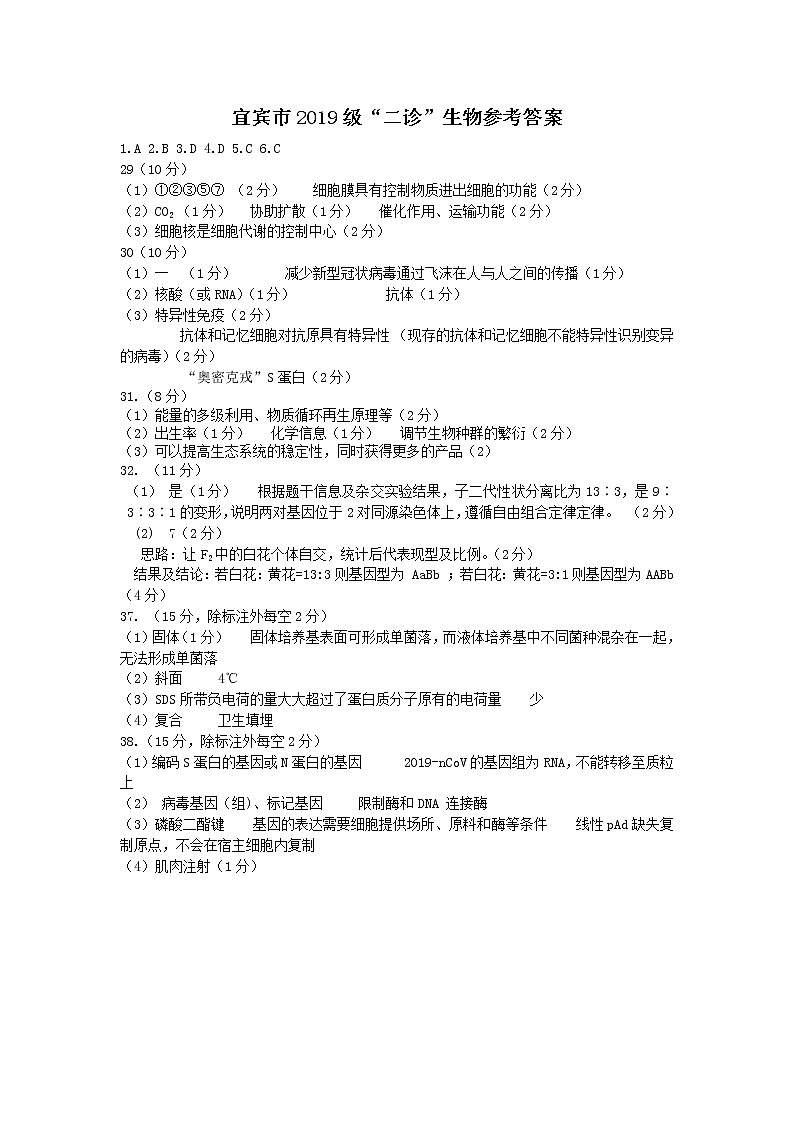 宜宾市2022届二诊理综试题和答案(含答题卡)01