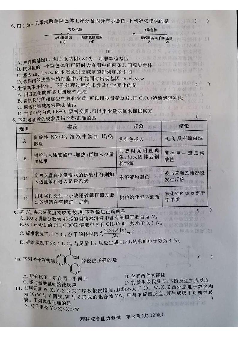 2022届陕西省西安市阎、高、蓝、周四区高三一模理综试题及答案02