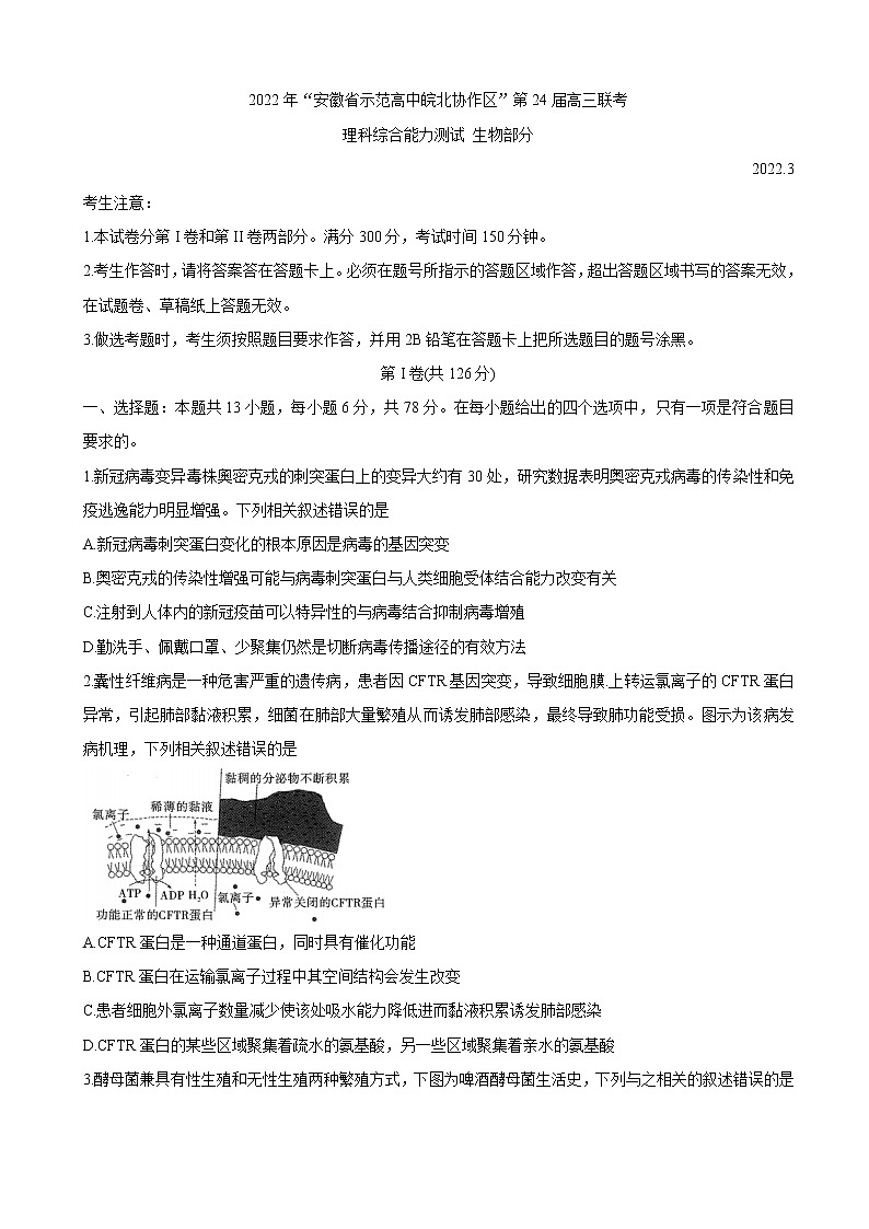 2022届安徽省示范高中皖北协作区高三下学期3月联考试题（第24届） 生物  (解析版)第1页