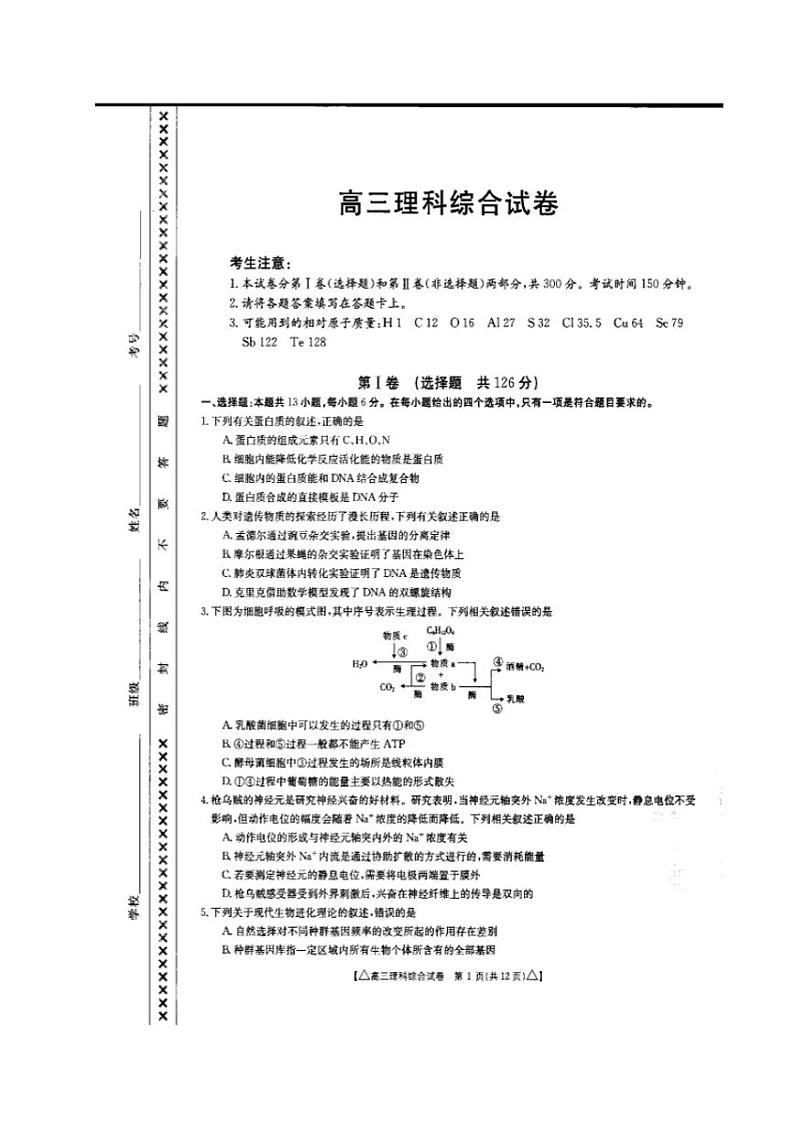 青海省海东市2021届高三第二次模拟考试（二模）理科综合试题含答案第1页